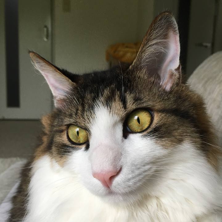 649bd7ac 420d 43ec b8c0 2e07ebcaaf70 1534749818745