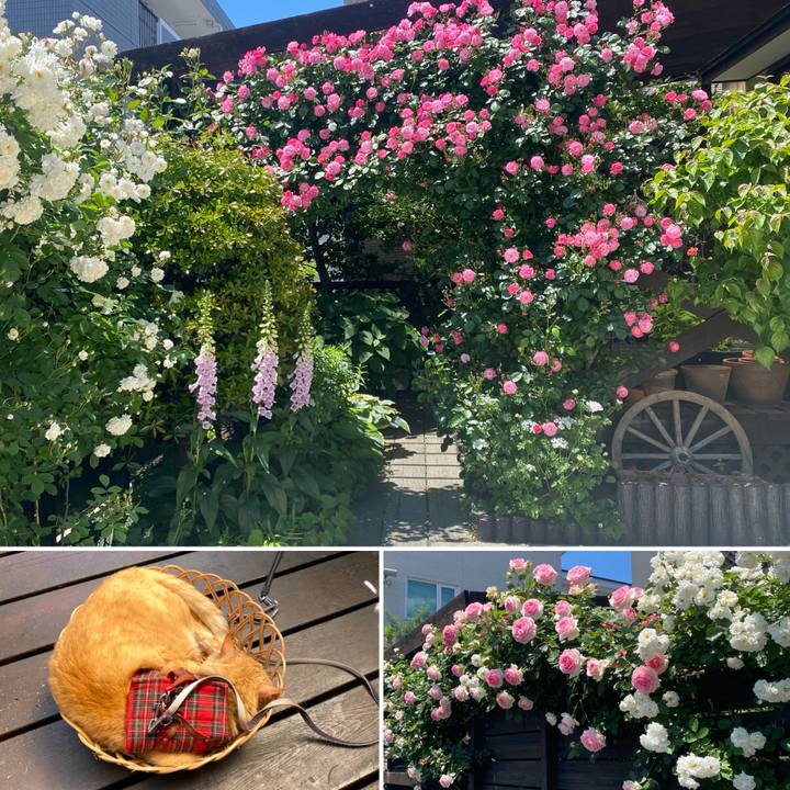 649bdf08 17aa 47c9 a803 44db915cfdb6 1748408408640