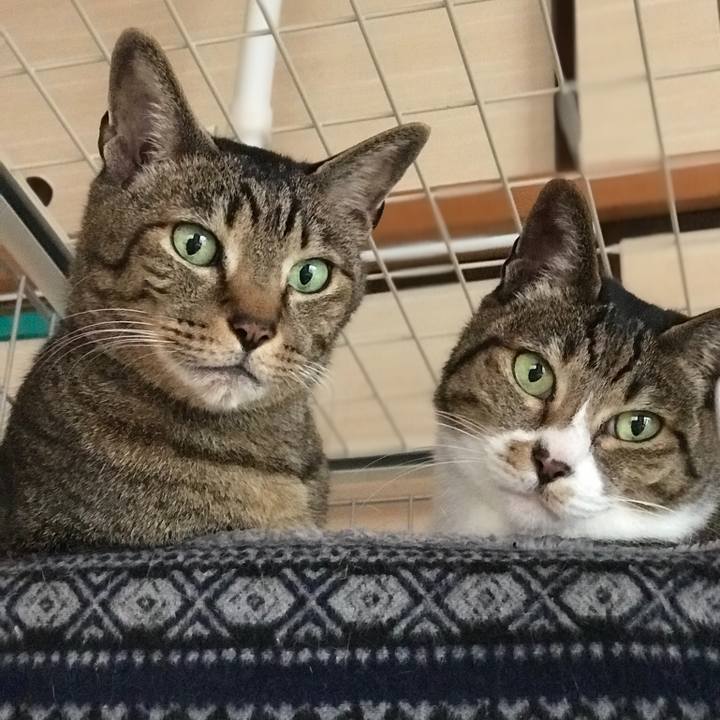 649c0ee4 eb7d 43c0 b99b 300dbabdda26 1523316841432