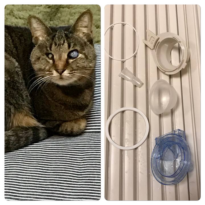 649c275e 336f 423f b0fd 3a02bf394de2 1607251082294