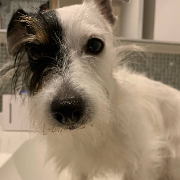 649c7f1e c4d4 427f b92c f37882502ea4 1664954690980