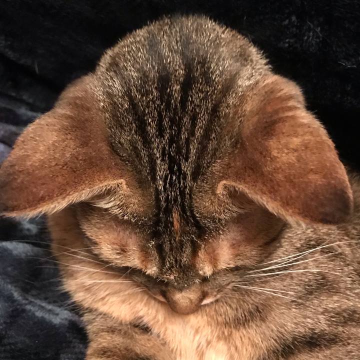 649c95d9 874c 40b1 b9ad 19372fb8725f 1585443688016