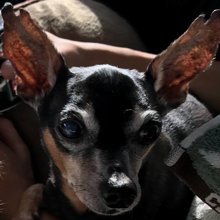 649c978a 566b 4eef b348 0a53a2f53598 1534548935963