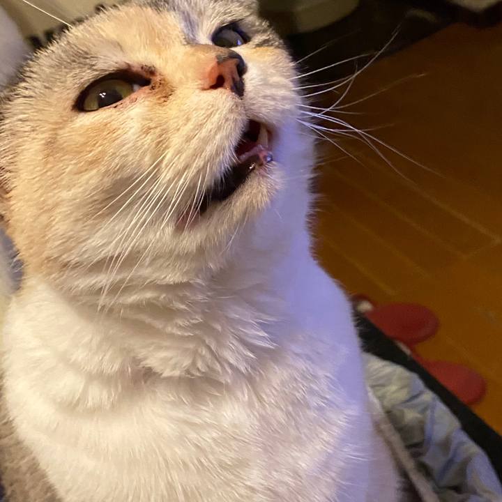 649d21ab 53c3 4af6 9fc7 b24379aa14cd 1587296745605