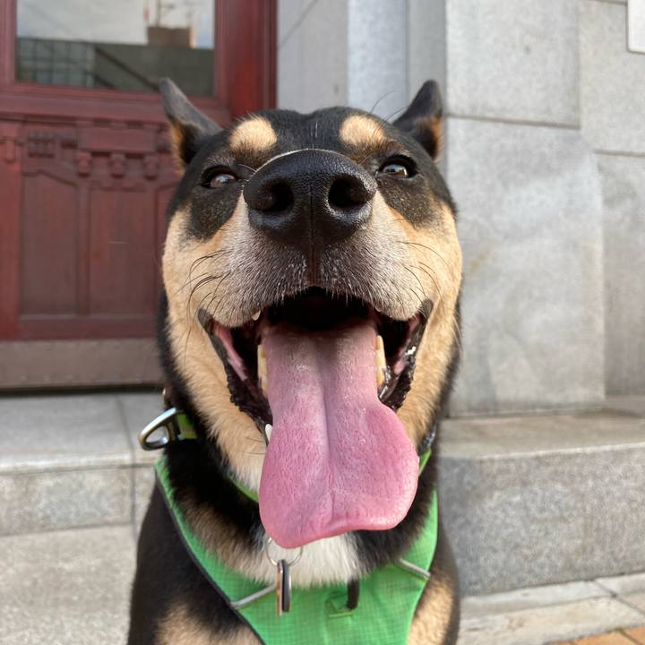 649d43b4 18f4 4440 acf3 31887dc9b573 1598763928153