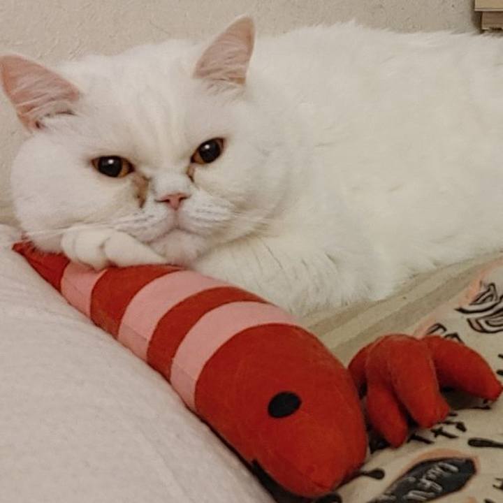 649d66cb 2bc9 4400 a3d6 1910832a3b65 1615543375120