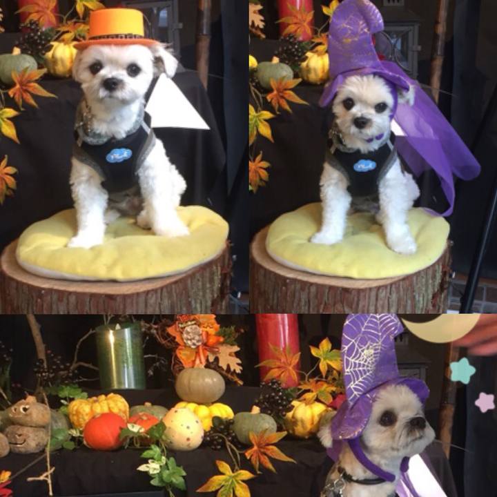 649dac02 8e08 4457 b6cc 50b1da54aa2d 1510045907793