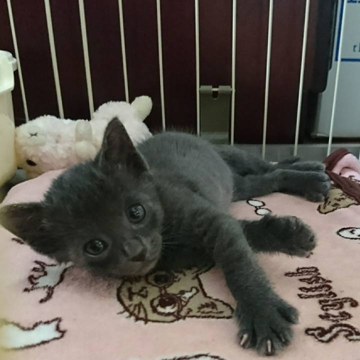 649db301 b547 4e96 98c8 b72d8a9388a2 1537282754299