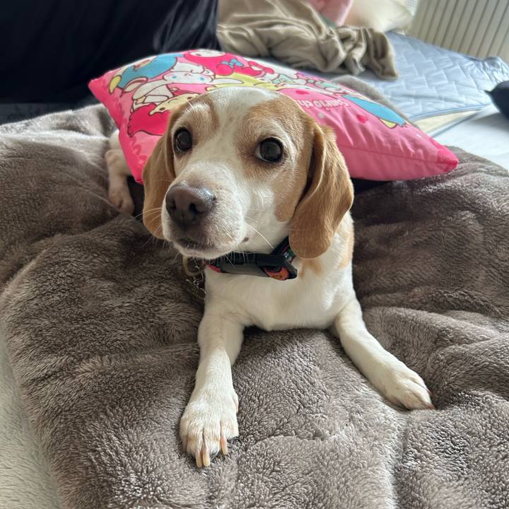 649dbd62 f8e4 4ebd 8f38 7bf83f4eafd1 1750213467712