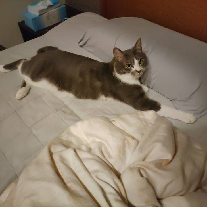 649dc695 6e66 4402 88ce b9d4b95c88d8 1658748906252