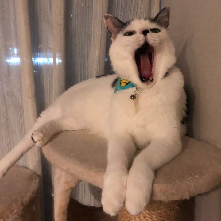 649eb894 ab43 479c 812d 2cb0d54bf80e 1536845523690