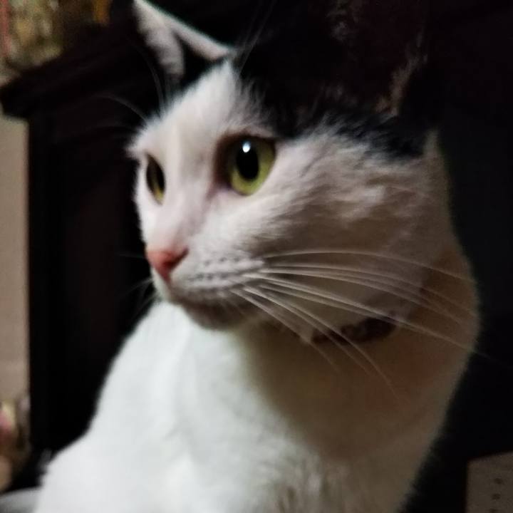 649ee4bf a57e 429f aec3 5a45fdef1114 1537706022020