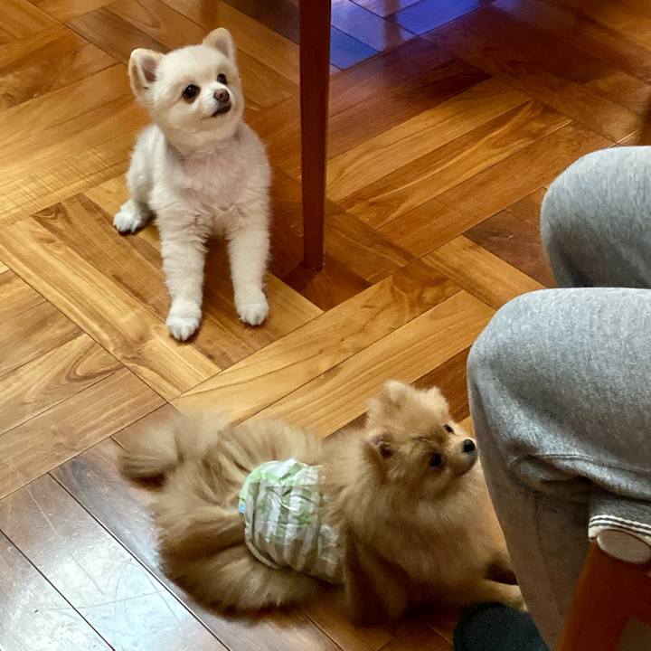 649efebe 42d0 4337 b3d1 59cd3e46fe58 1647574051977