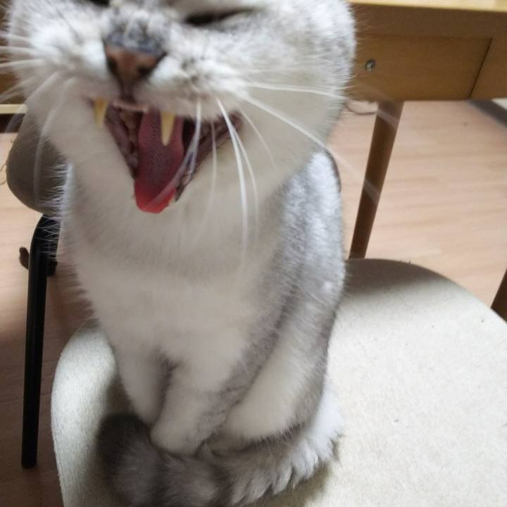 649f22c0 eff3 4271 a51c 8d490413484c 1513892236540