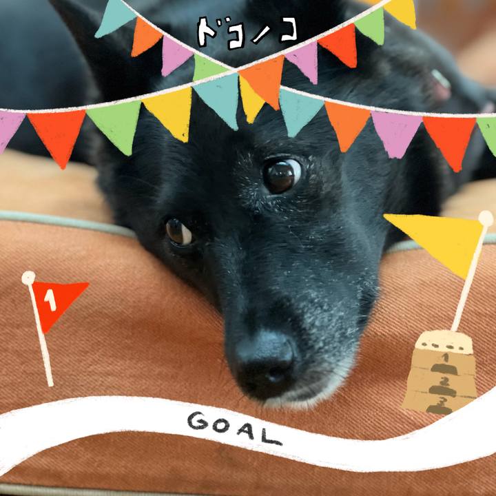 649f240e 5a12 413f 9912 344f8099832f 1729217859768