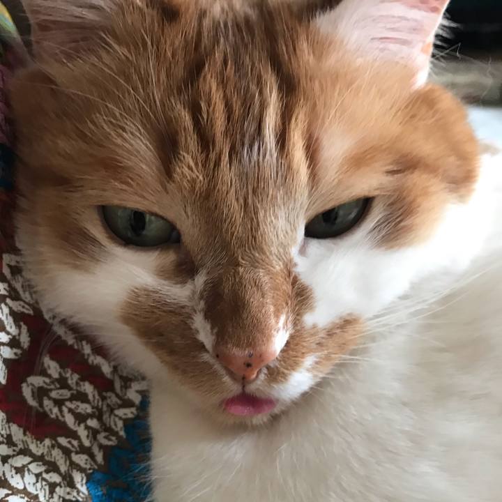 649f3151 cd6e 4220 997f 5d4e4084438c 1557622570070