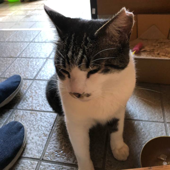 649f728e 16c1 4291 a316 010ba0948da8 1565324266941