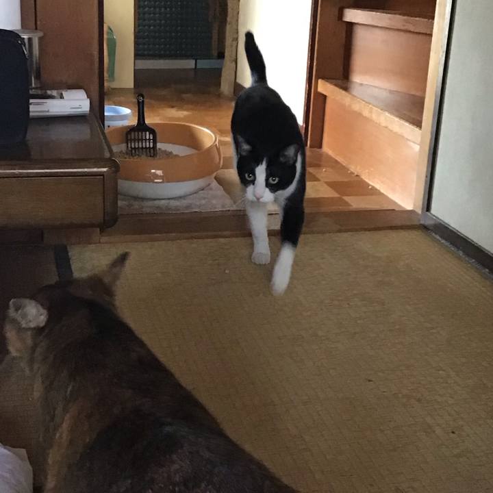 649f772d db46 46a5 9b00 cee08cec1e8e 1785728988395