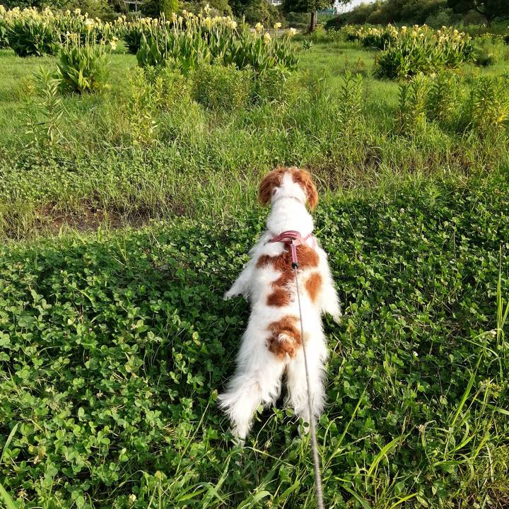 649f981b 7ccf 4f7d 91b6 765914ef4437 1596272118666