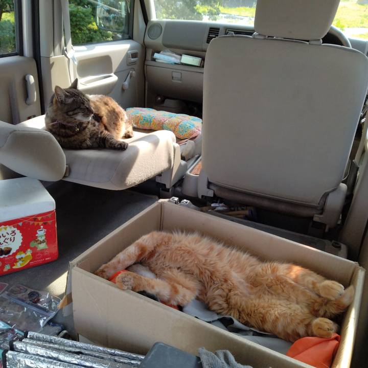 649fa7ac 0d5b 4bd2 9234 b70fffd3d6bb 1717835210890