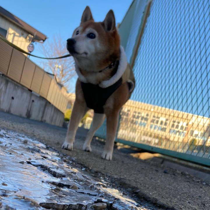 64a023c4 3ae3 4d37 93f2 a69173f08709 1705189685665