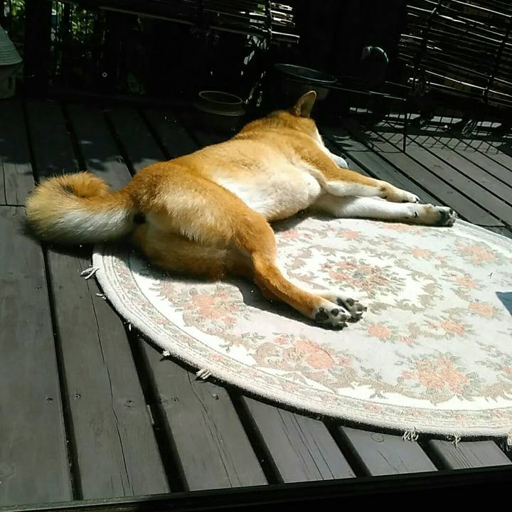 64a056c3 5546 495d 8aa6 9564620bf5a4 1564459497144