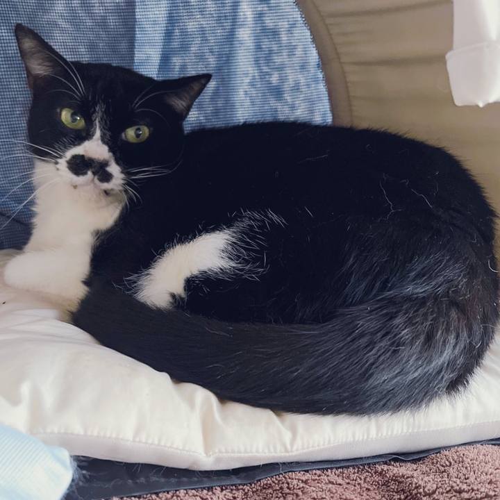 64a0bce5 48db 41df 9679 a74ec359a4a7 1667629148236