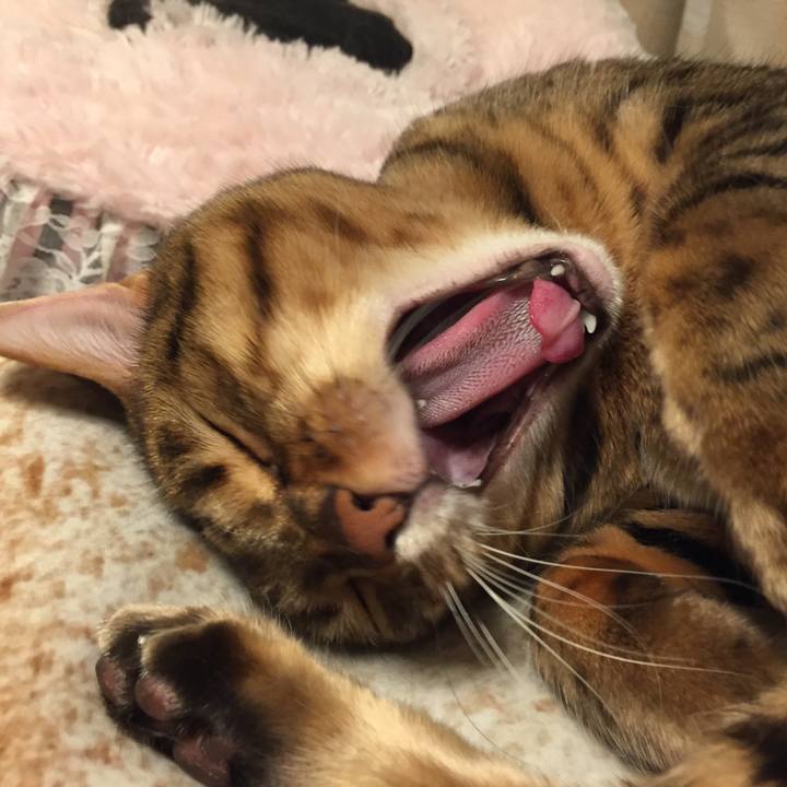 64a0c673 afed 49af ac6a d188451367a9 1523833020108