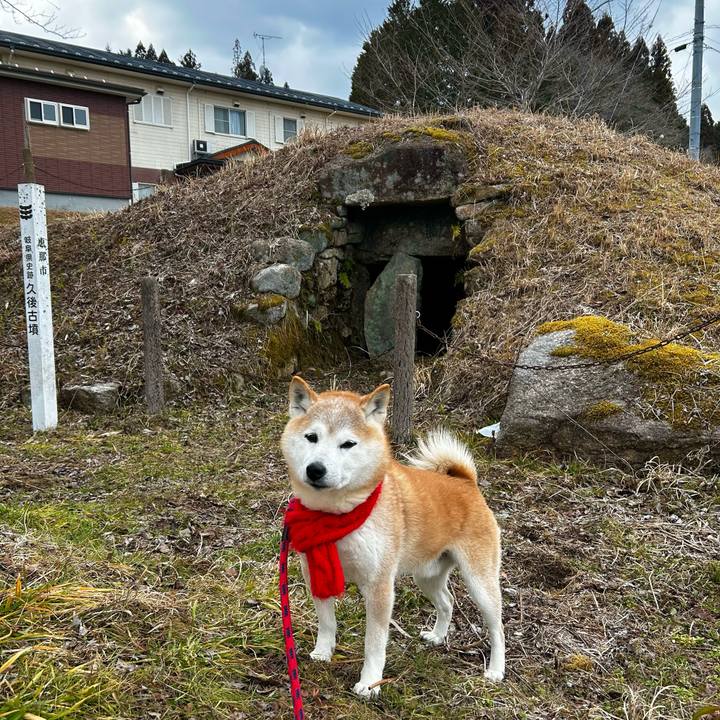 64a0c9ad 0e44 4a4e 842f 52cfda1bdbc1 1770462763232