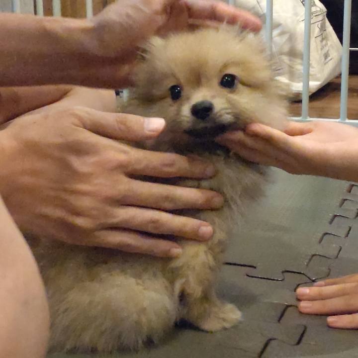 64a0efe9 5bd0 4fe4 abbb bdd2037e0097 1721261017642