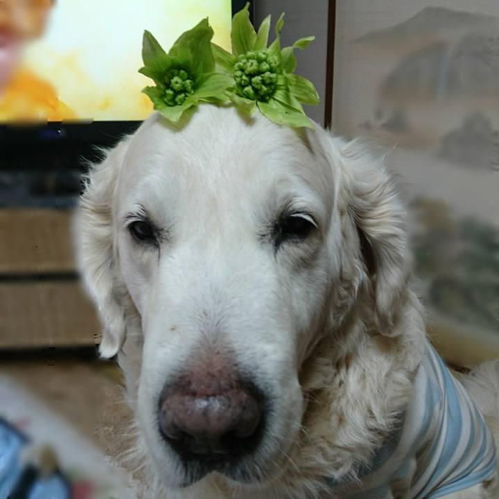 64a10a8f 89aa 4801 bbd7 639877826587 1519445832422