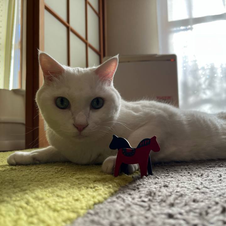 64a11ca2 cbdf 42c7 9cf1 fe634ead8725 1763291319298