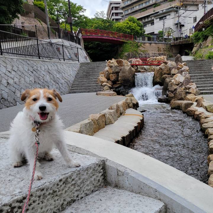 64a1488a 7040 478a a061 c14d91aed4a4 1717465816129