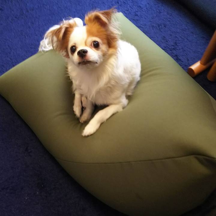 64a16e49 f33a 4770 8832 a3ac58ebe846 1519980861798