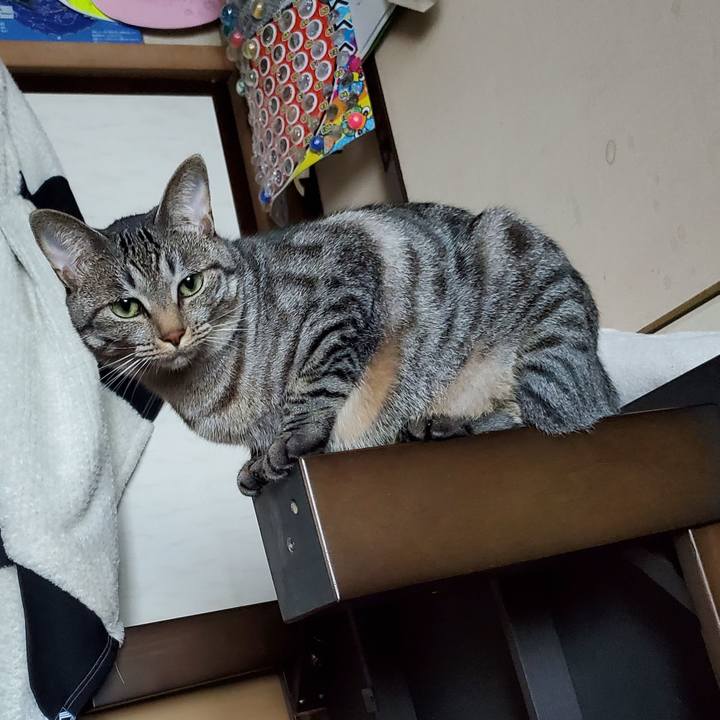 64a1a831 d0cf 4785 8553 e5b3d0f9453e 1696942743500