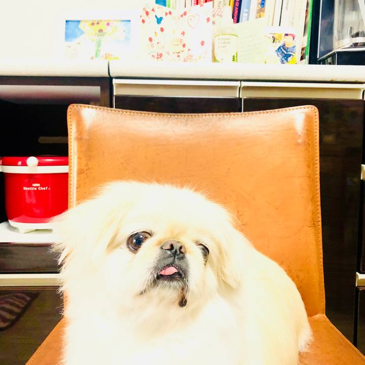 64a1cbf7 ab21 4286 b5db 6d0f2c1aaaaf 1593000112448