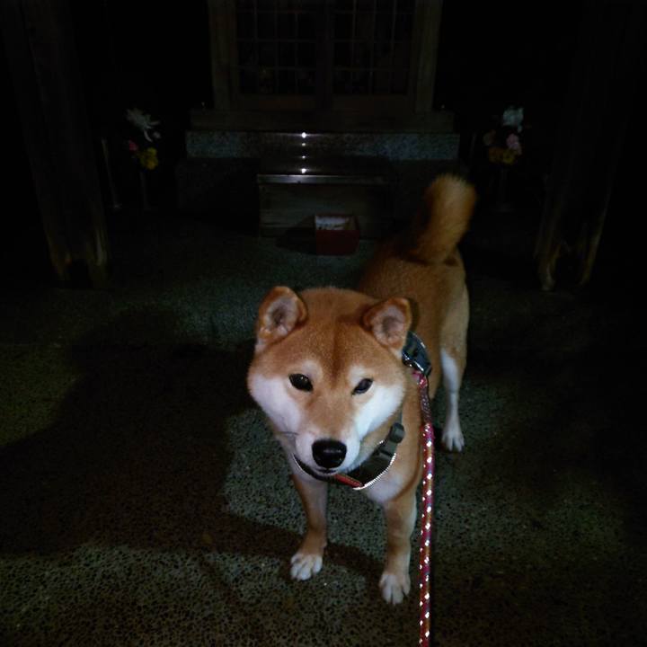 64a20c94 4e61 46d6 8bc1 0b190e56fc77 1766794888503