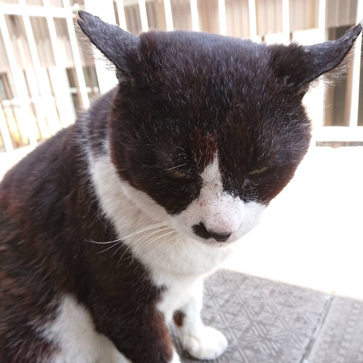 64a20cd6 1d62 4b2c 884e 3e5f3a1423f2 1653787311208