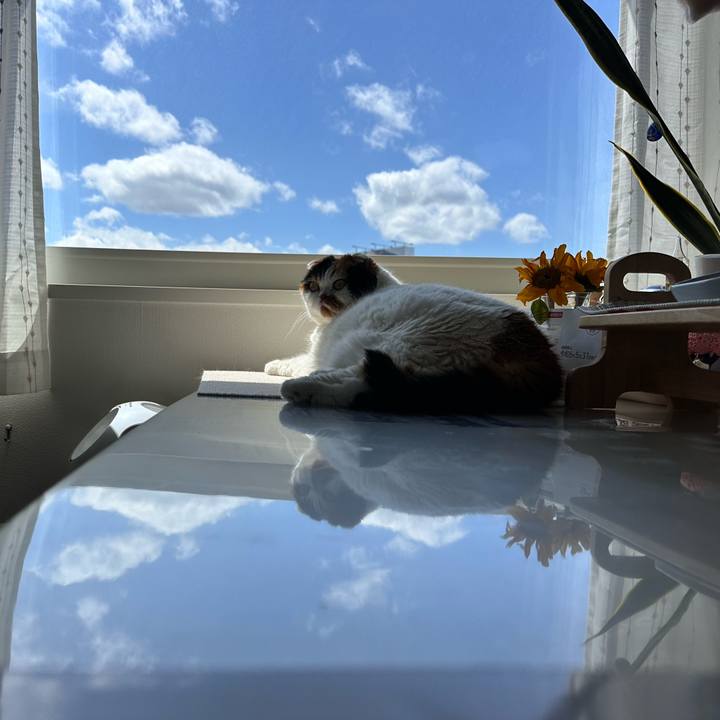 64a21a2e f558 4930 8b70 7462e38af39d 1715226895522