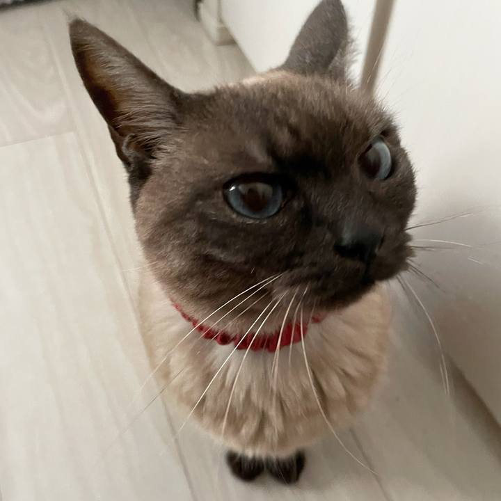 64a21e46 5de3 4d50 b97f a7d1da145e55 1775426857344