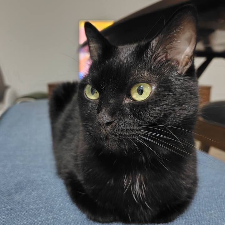 64a29146 ff94 4605 ba42 7c17a108e984 1728558794052