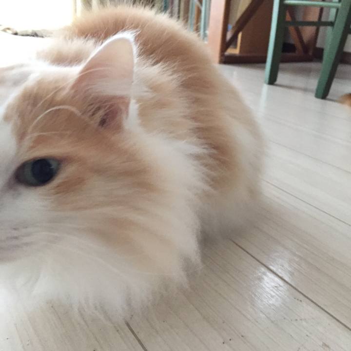 64a2916a 5fab 4bfc 99fb 7c408b97790c 1556917269901