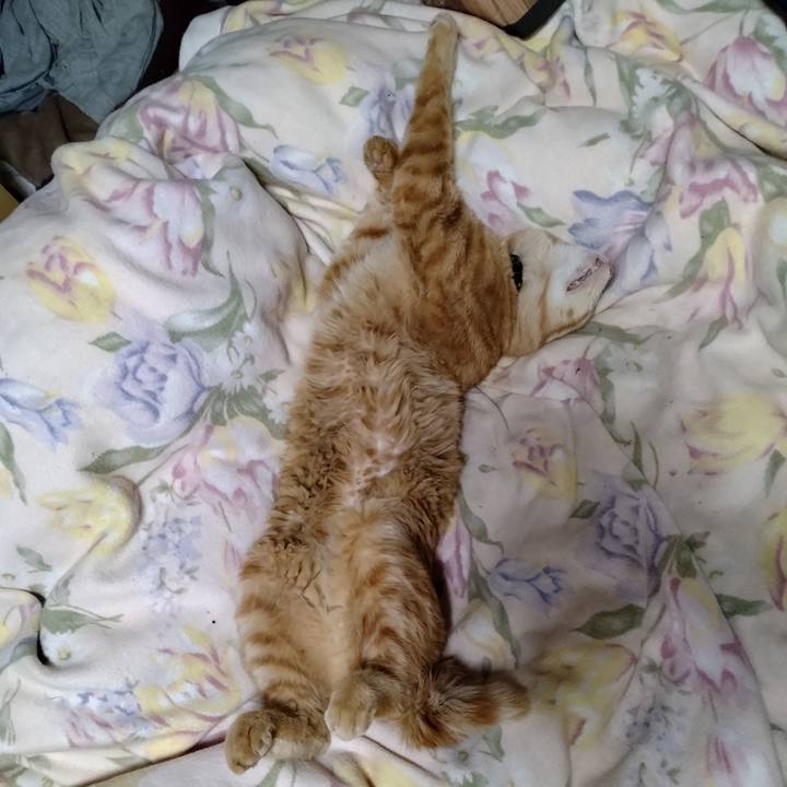 64a2a599 0867 4ee3 bf0e 4551fc30f312 1686215239665