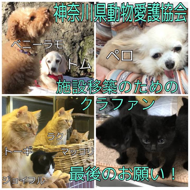 64a2c626 2b71 4f05 bca5 3abe825d0957 1689295233469