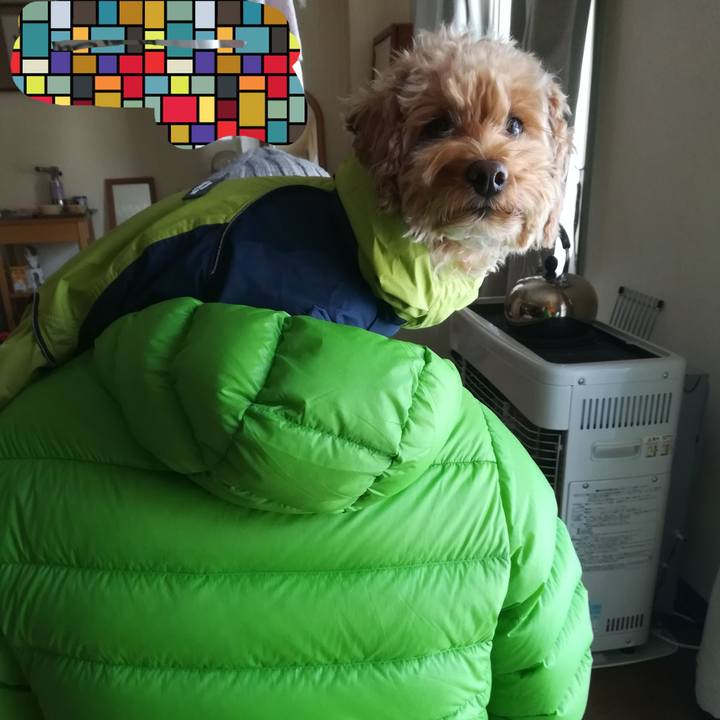 64a31940 7f50 4742 b856 cdaba9304fb0 1548548222129