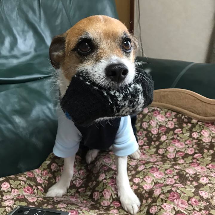 64a32df4 c358 4644 a323 9b5a9ceb6378 1545556253850