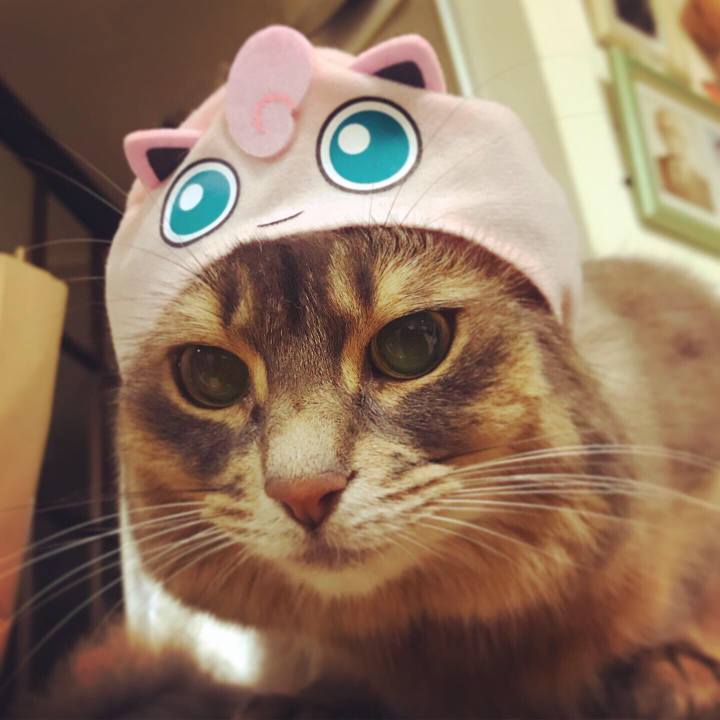 64a32e4b 3b28 49b7 8a86 82e433221469 1575087393517