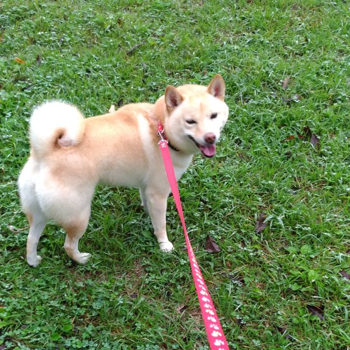 64a33500 37a6 4cd0 82dd c701d45ddcc2 1601103742370