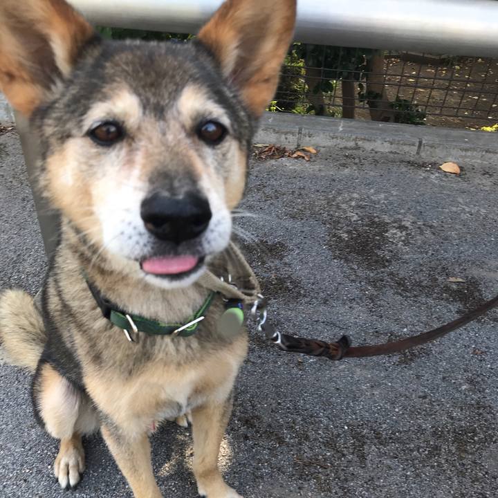 64a36f8a 2d43 41bd b5e2 528fec7e9cc1 1532994405296