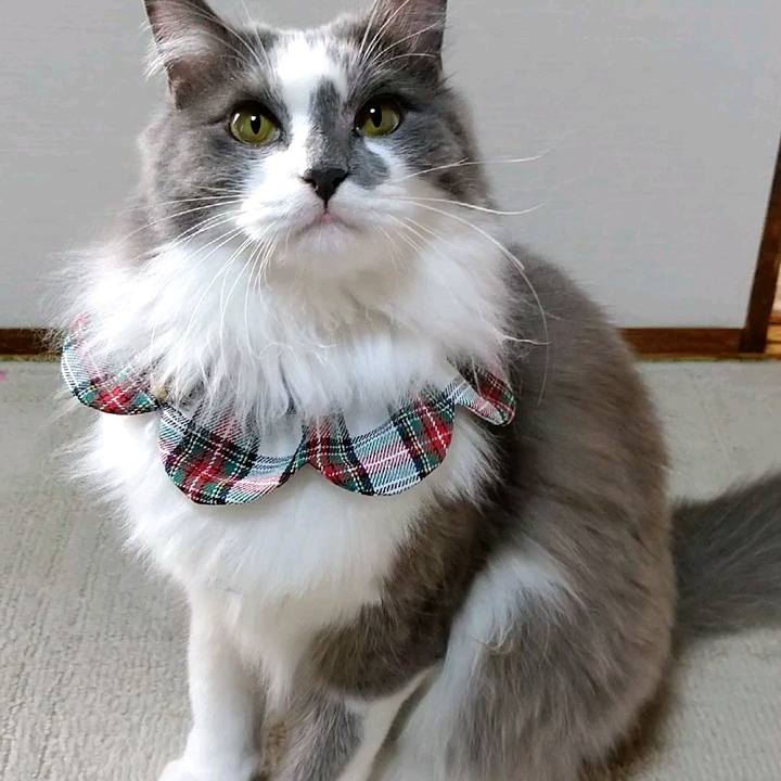 64a3c6ad c050 46fb 9d2b 0759bacc7e7a 1584863933731